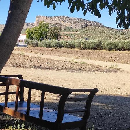 Alojamiento Rural Huerta Mandre Cuevas del Becerro Εξωτερικό φωτογραφία