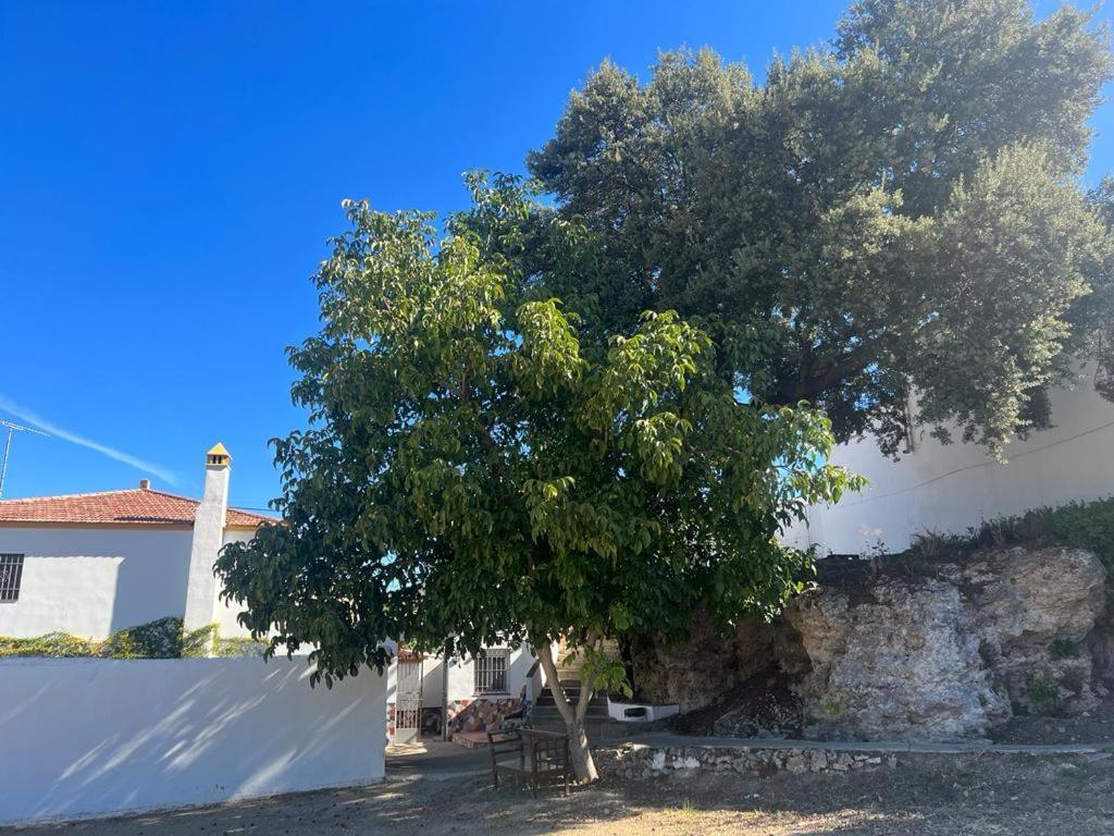 Alojamiento Rural Huerta Mandre Cuevas del Becerro Εξωτερικό φωτογραφία