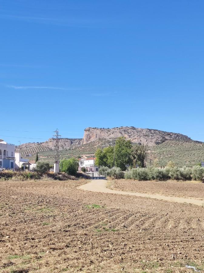 Alojamiento Rural Huerta Mandre Cuevas del Becerro Εξωτερικό φωτογραφία
