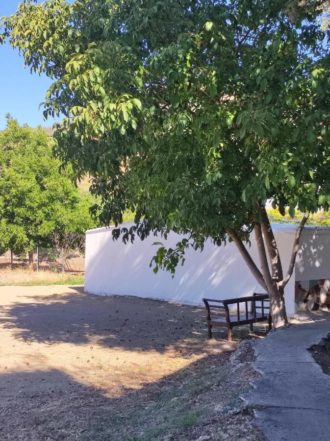 Alojamiento Rural Huerta Mandre Cuevas del Becerro Εξωτερικό φωτογραφία