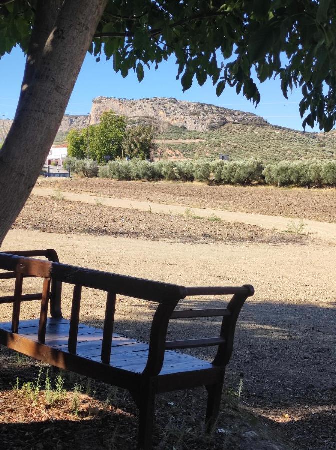 Alojamiento Rural Huerta Mandre Cuevas del Becerro Εξωτερικό φωτογραφία